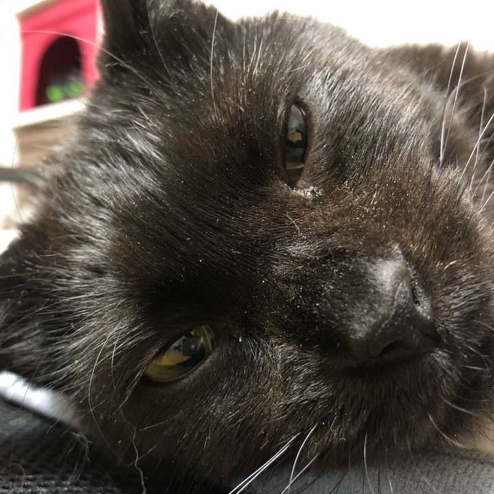 06425181 c79c 41a2 9da3 313bf85aa7ba 1590839728166