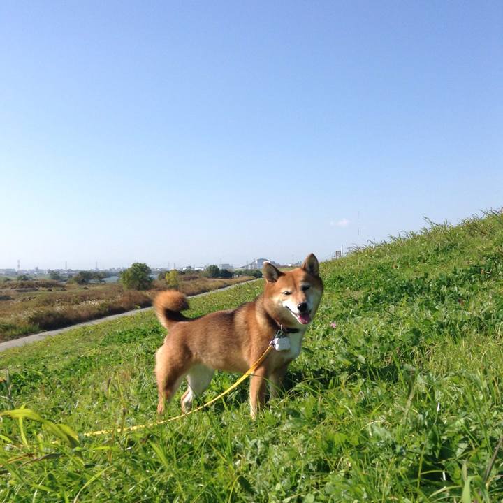 06427425 4cb0 40a6 9007 59c2e70a1c20 1510213014506