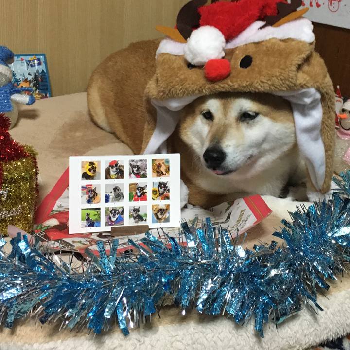 06428cce ab43 40bf 9f54 1bd63f5d87e9 1640082510455