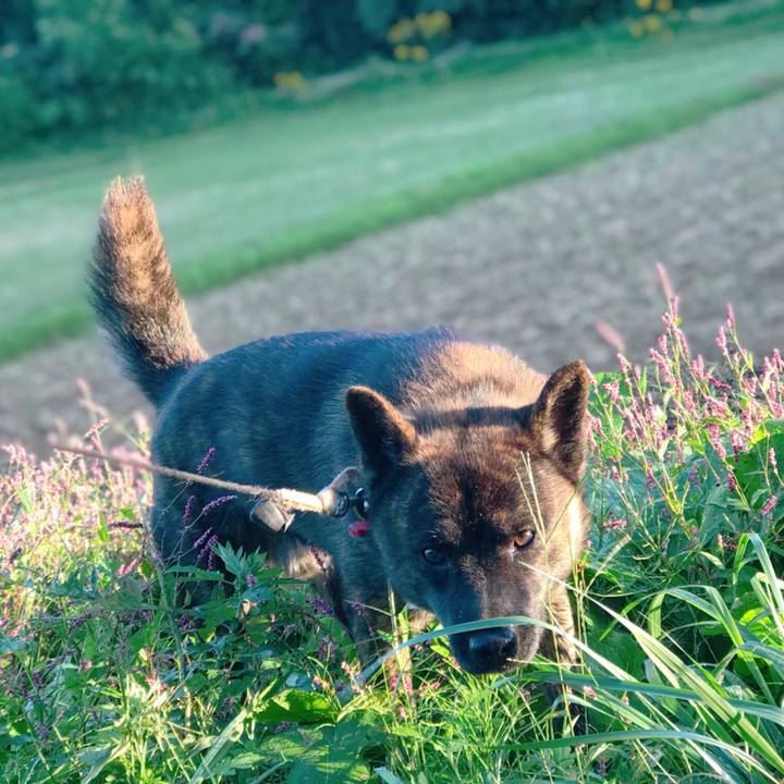 06429997 cdbf 41bf acdd e4a9a04ce553 1508295830673