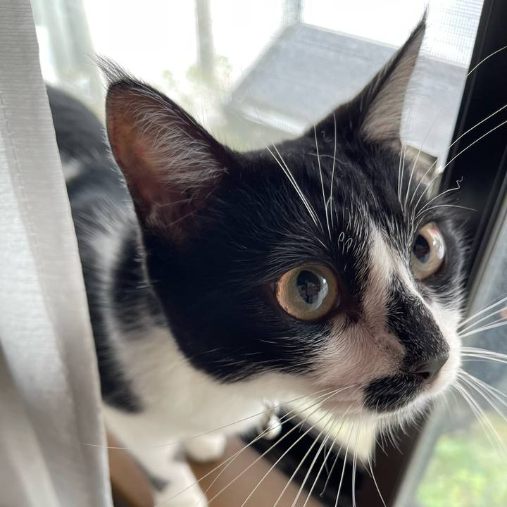 06429eb1 fad1 45ff 96b2 9ce5f49ef7f2 1760743360509