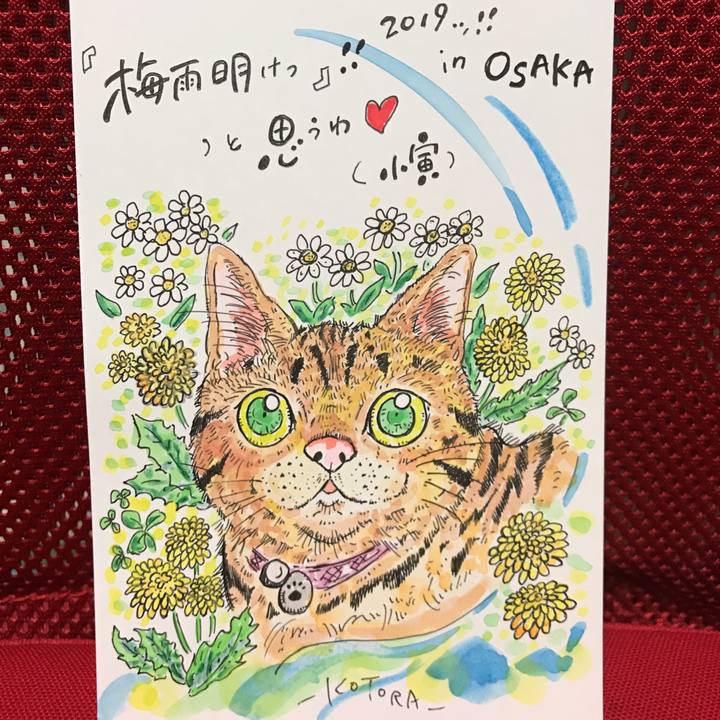 0642bdad d6f8 437c 9769 0b06e7eedf4b 1564068068671