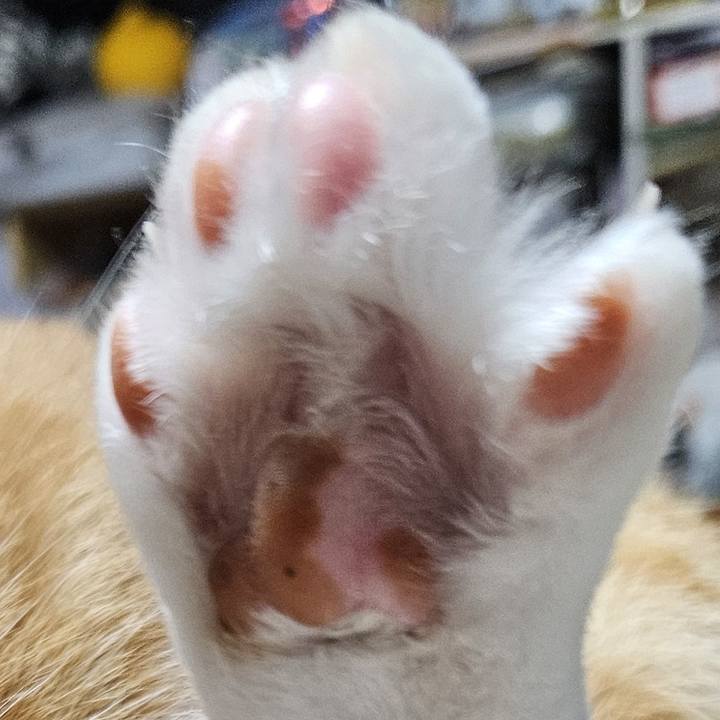 0642fdb6 c2df 4bf4 b834 007227364004 1772108194286