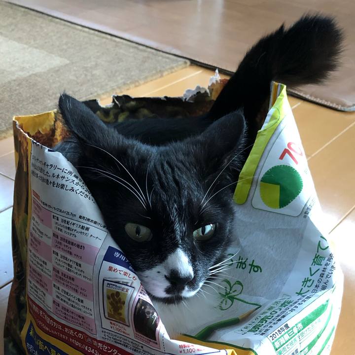 06432d5c 9b0e 4911 8e4d 40cacfabca22 1624505870115