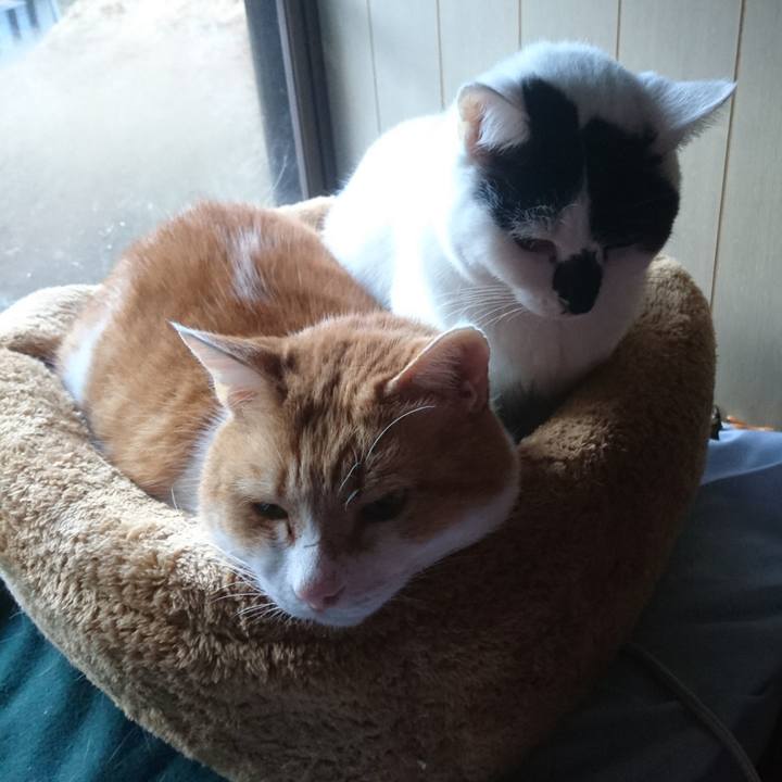 0643678f 64eb 46cf 9c4c fe9a102fee85 1575367399755