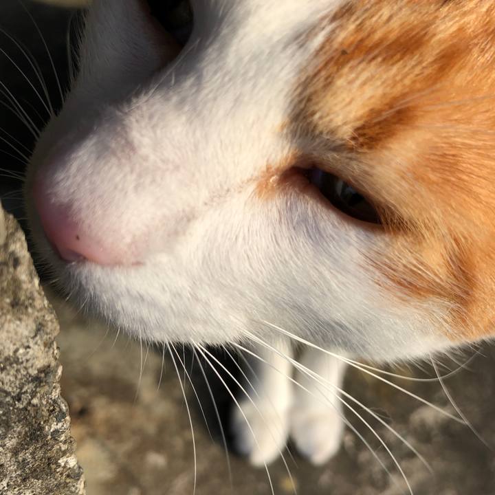 06436894 b3d8 4f62 bd51 c84569fdcf4d 1540642798769