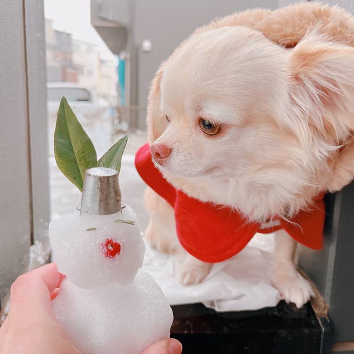 06437d26 f693 471a 9173 9c810b3568c6 1676019281220