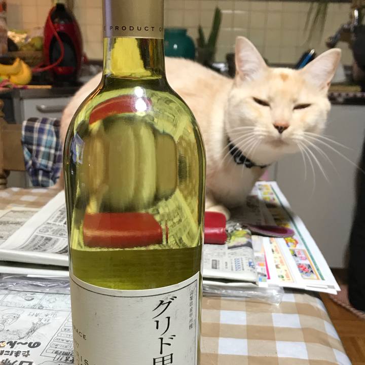 0643a182 468e 416a a08c c3e2d9fb2ec3 1543474256902