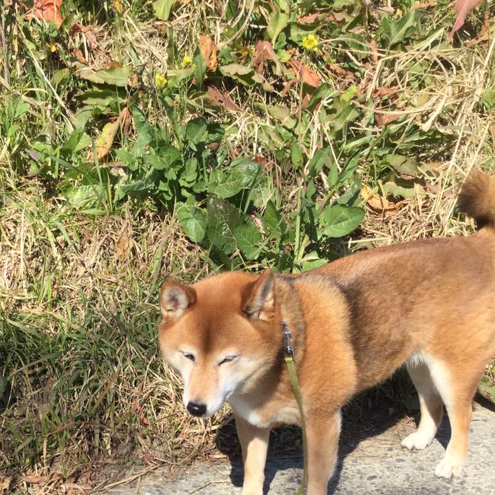 0643affe 462d 4d34 83e1 92160c92d2cd 1580884023348