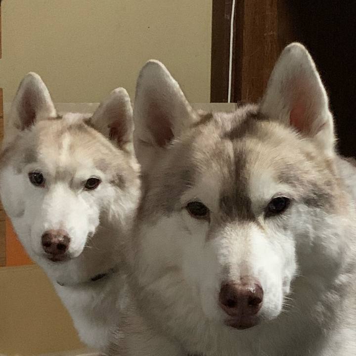 0643c865 257c 4f16 b751 5636708ab69b 1669553045730