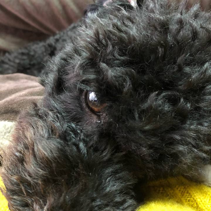 0643cbb4 7723 4f22 8530 701fbb658c8c 1550055142666