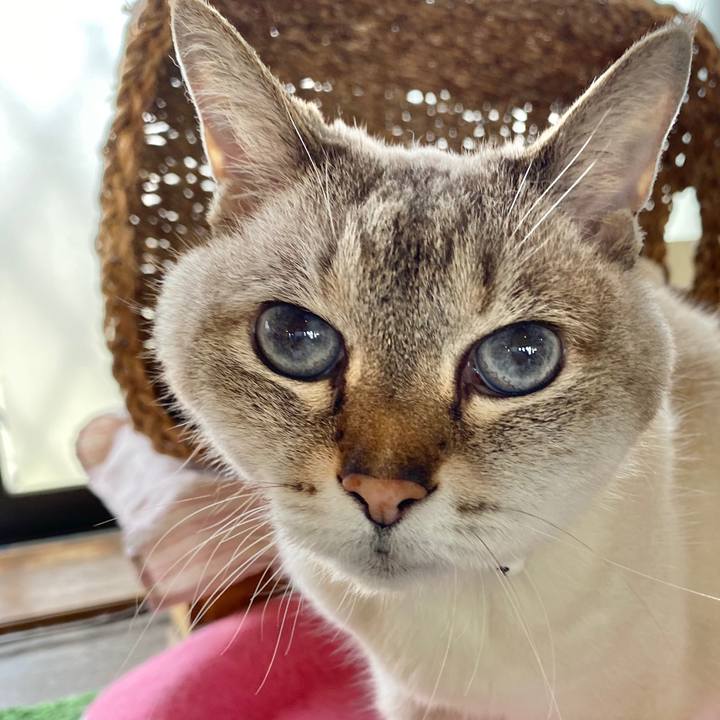 0643d625 872c 48c1 817c f80d65f21a26 1591314586205