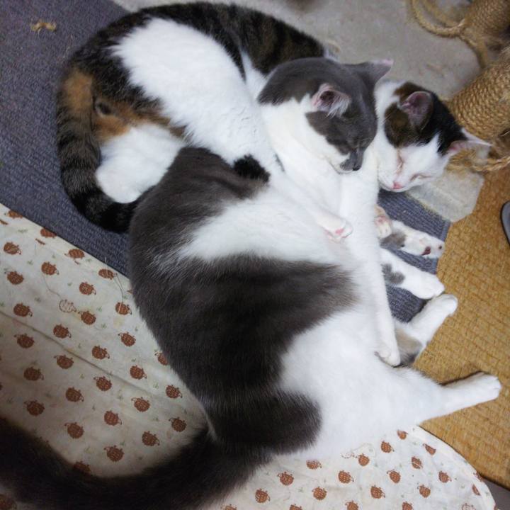 0643e30b 042f 4376 aa9c 74e12db178d8 1544777993613