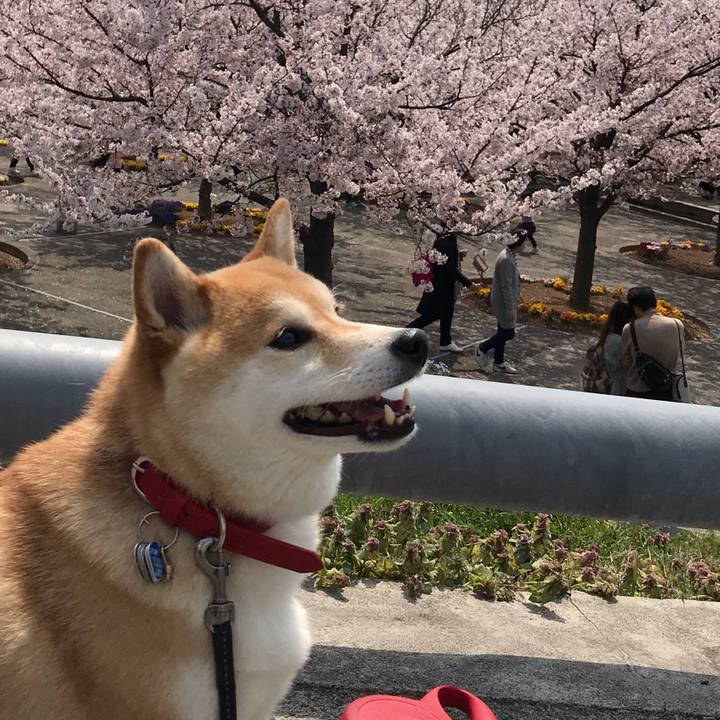 06446f69 f93d 4b7e 9974 9a6199f53e5f 1554730112990