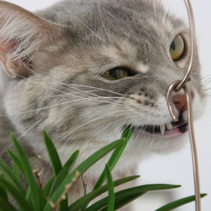 06448a8f 7fdd 4aaf 8dcf 105f5da8ff6f 1510187953683