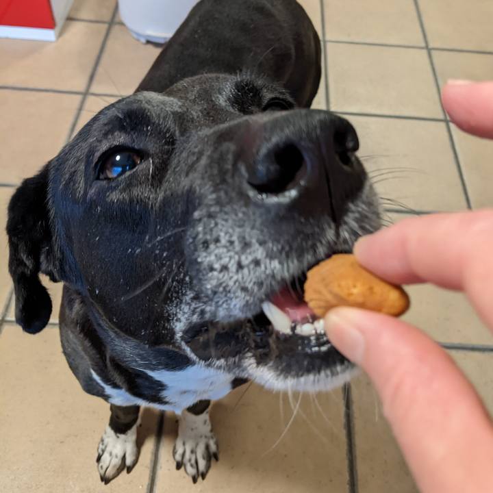 0644987a 5d24 4143 abec cb09851dcb02 1650190531367