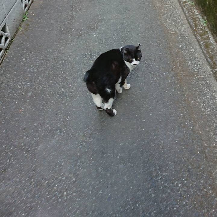 0644cd4d 2d25 4ff2 9e87 45c67564cfde 1646898225764