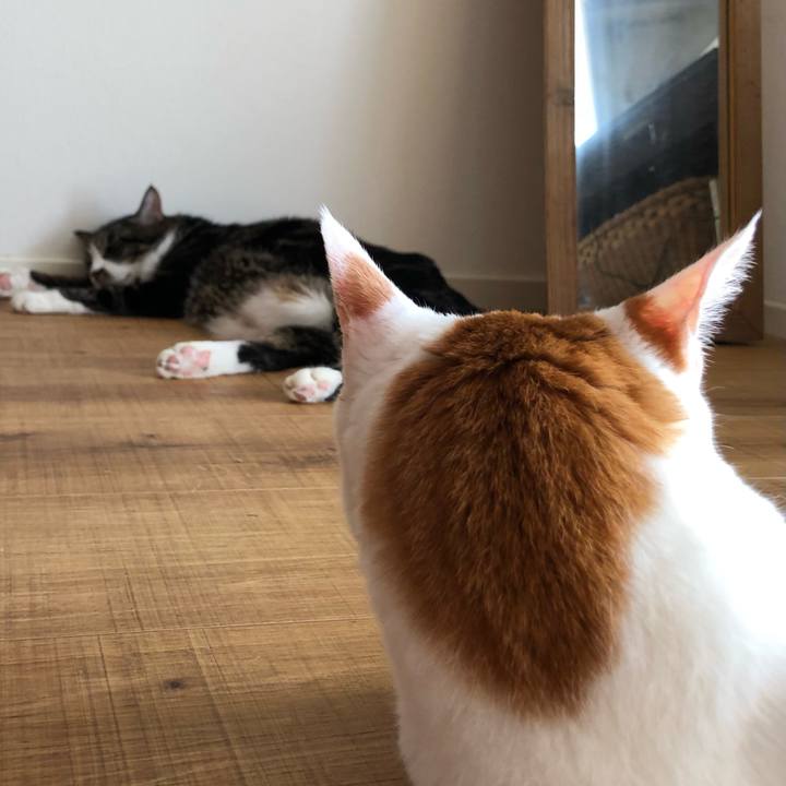 0644d90c 329f 439e b827 9696df346b34 1634433222101