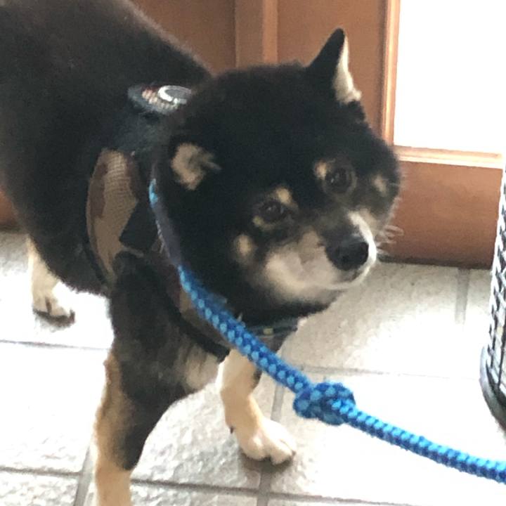 0644eefa 64ed 4f8b 99ff 87bfe2e72ee1 1587698188688