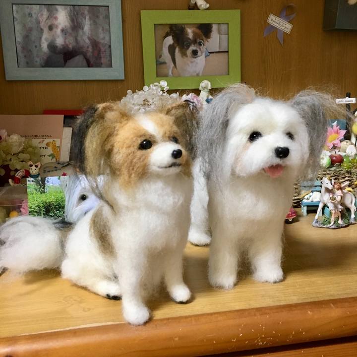 06451ba1 ebfc 4346 bdb7 a07bd3c68412 1570115946746