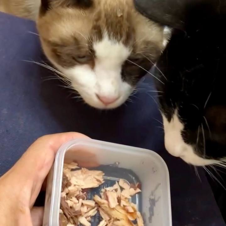 06452a40 89dd 4350 8961 f233d11840ed 1730866858109