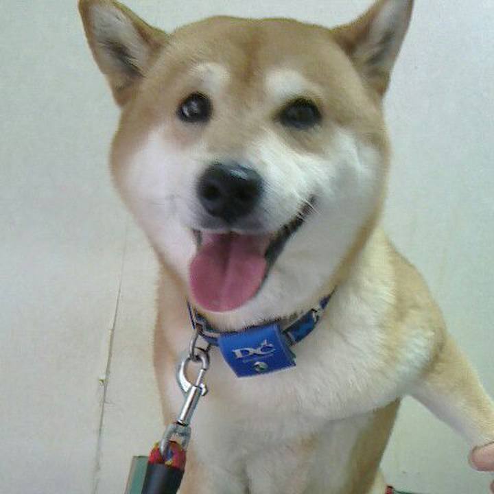 06452b48 ca5b 4aa5 be82 3d2c1653b7d5 1522744022646