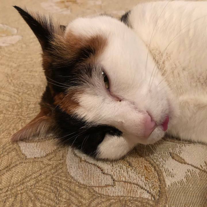 064549f4 87be 4314 a4f9 25e4d0aa7bd2 1523625441750