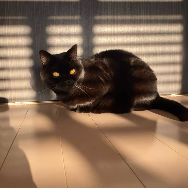 064556e2 2462 454e 9546 a8a7bdabfa92 1764311280764