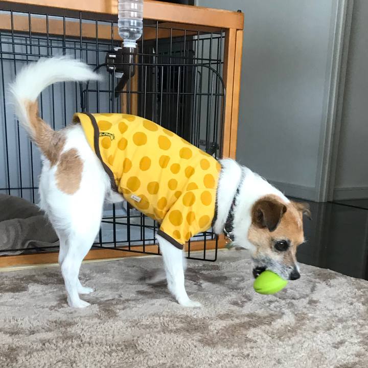 064557f7 db52 4550 83f1 b87345f63766 1524360028997