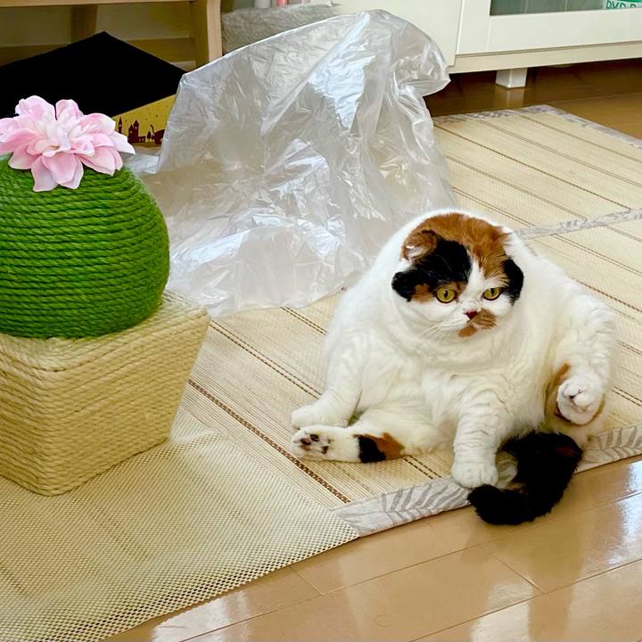 06458973 a840 49f5 8d5c ee99fb6d5146 1655199888964