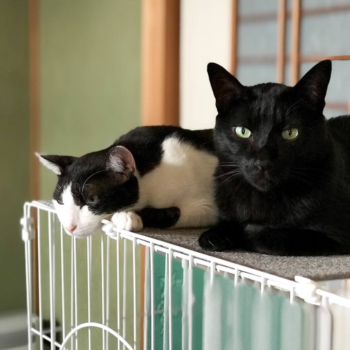 0645c1b3 0664 4f55 a2f6 3f5ed26569d6 1534342688632