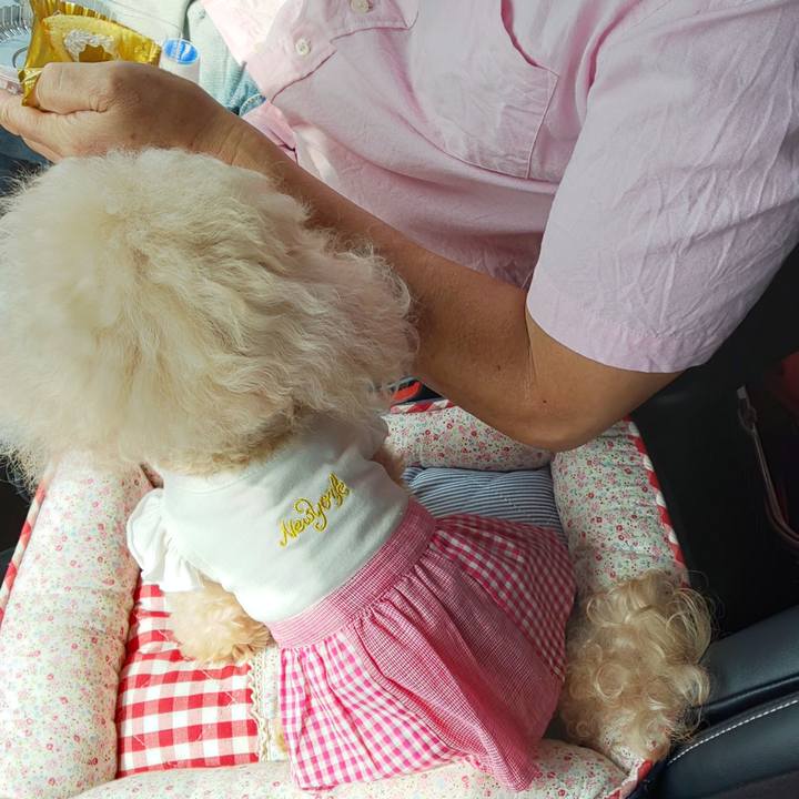 0645cf0d 7186 49d1 b857 309f1d1735e2 1567856456169