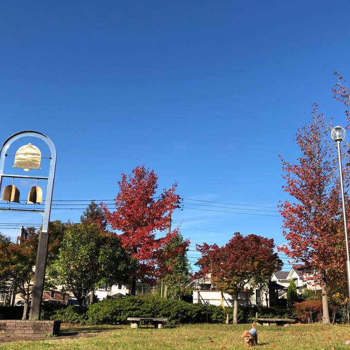 0645d328 502e 45d8 ae28 2d878099afae 1572055952252