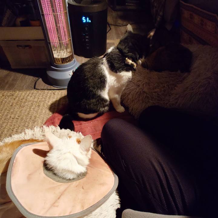 0645e45d 21b6 4500 9254 1bd72dd3f99e 1765891807911