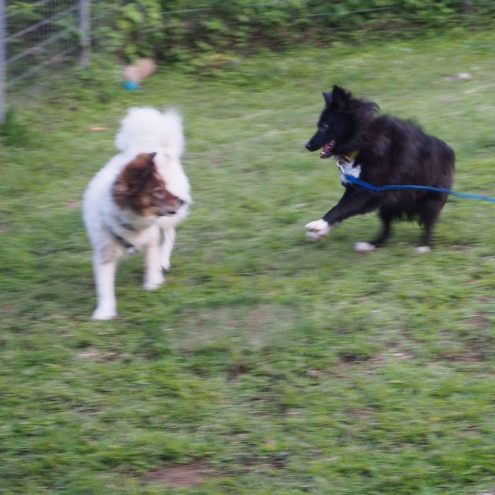 06461558 65e0 41fa a9bb 5132ebdd8088 1521369861276