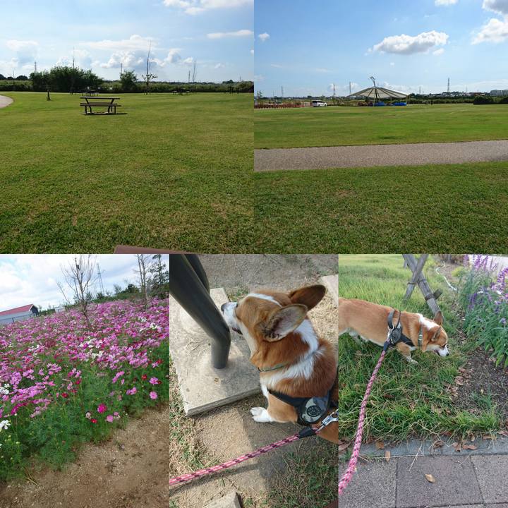 06461c87 e211 4f30 be43 f83ebf71bdc3 1633761624509