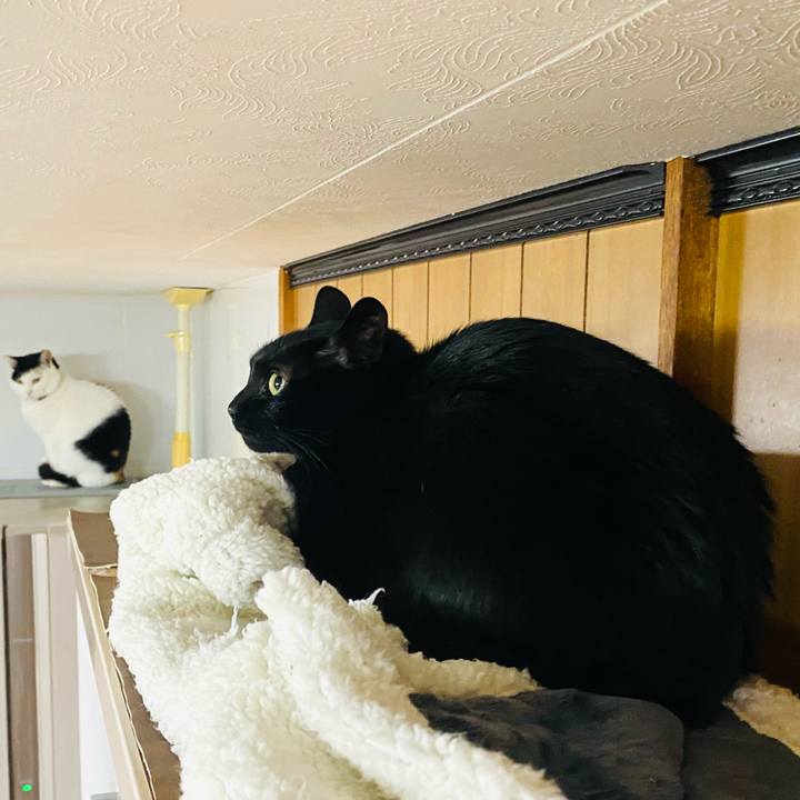 06462db1 87e5 4461 b63e 5bb8729c3ca1 1678658233135