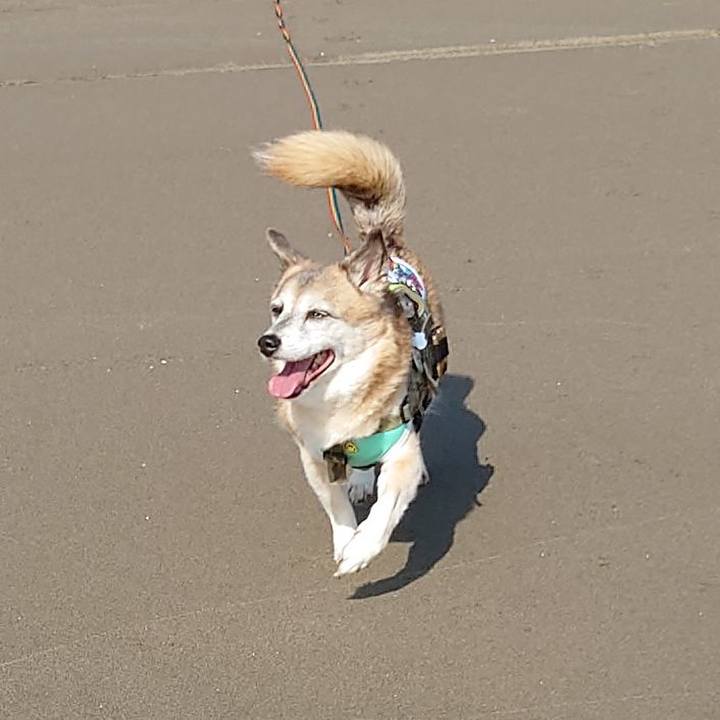 06465be9 9c11 47c6 b93b 19c63dadc134 1678935276562