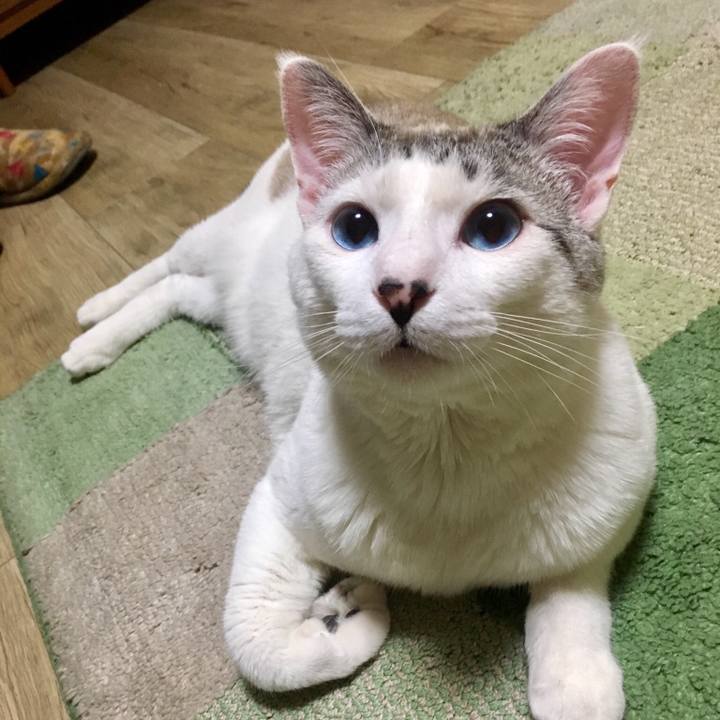 06466bfe 4545 4b1f ba1c 0c6dc7eb8575 1556023962021