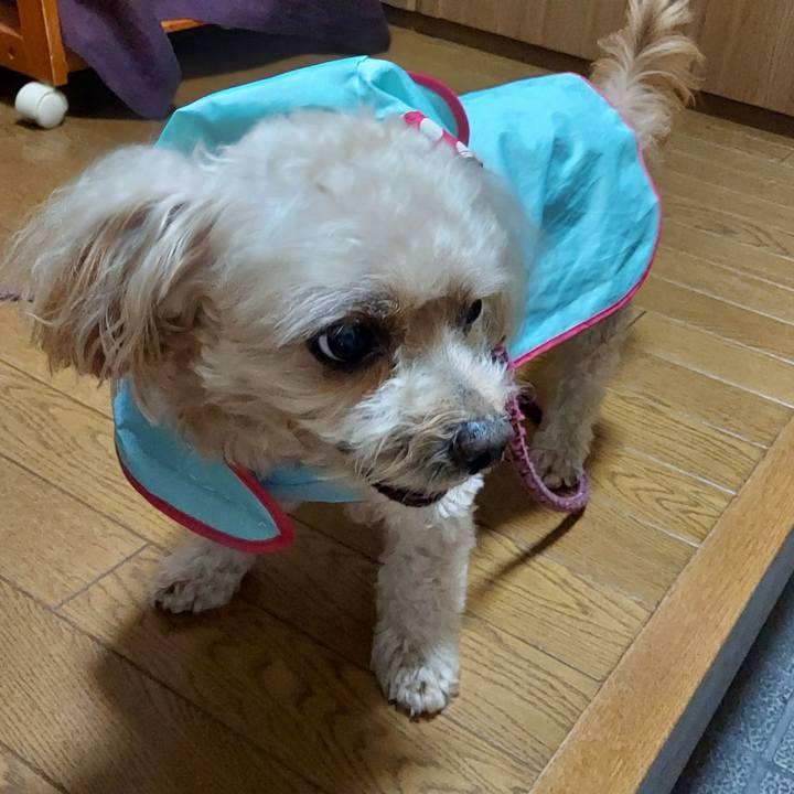 064672c4 6b35 44d3 a327 7abc0b9edb8d 1724901176456