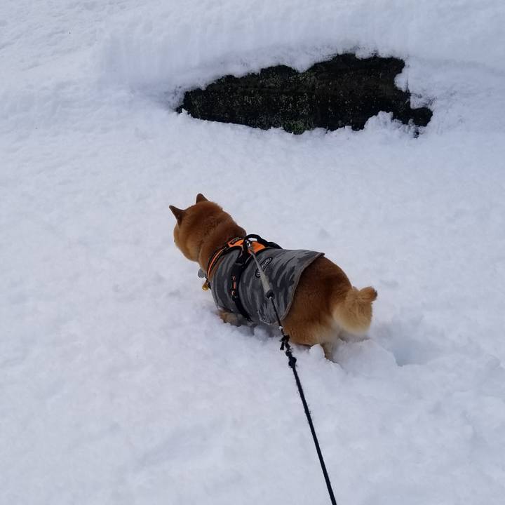 0646779a dc76 455e 8772 b60c7b6ca0aa 1639980435586