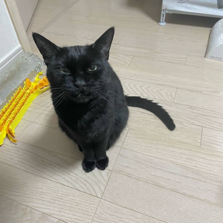 06469fa6 9f32 4c0b a570 b22600e279ad 1709717983031