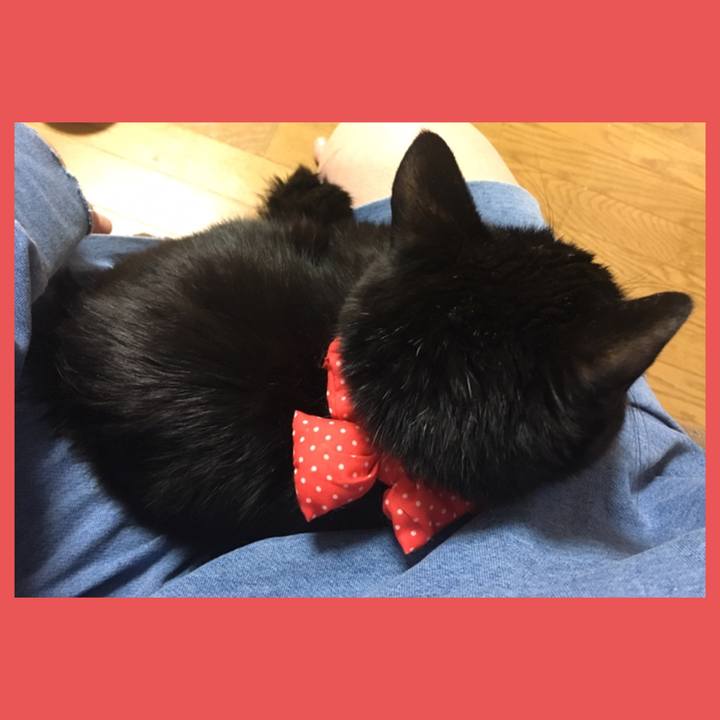 0646e9af c6d8 46ec b41a 30409461a5f7 1553429170246