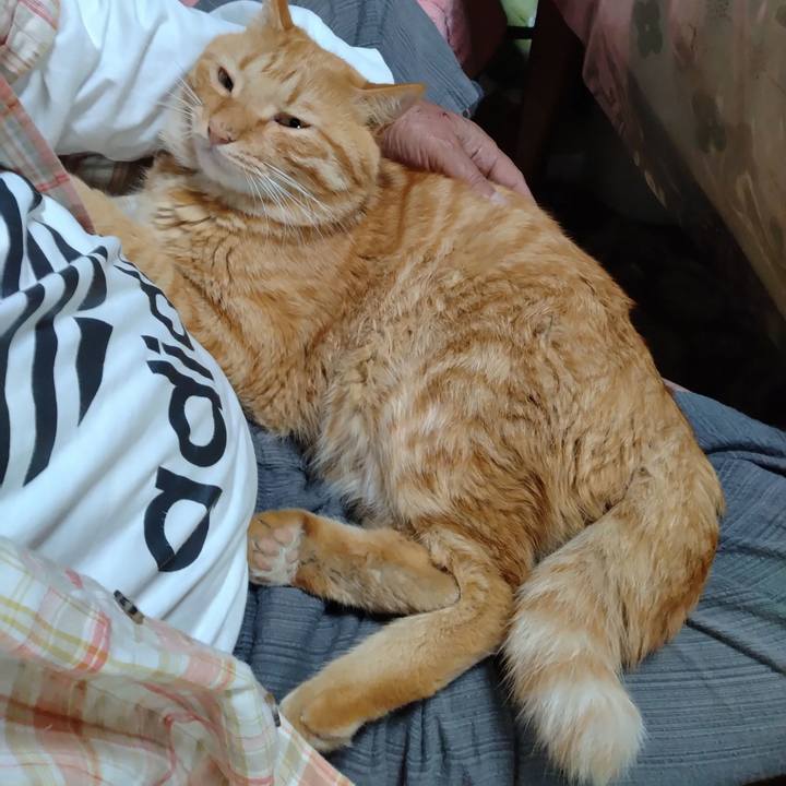 0646ee34 9134 4f7a 80b3 ed8832fb2679 1695549331098