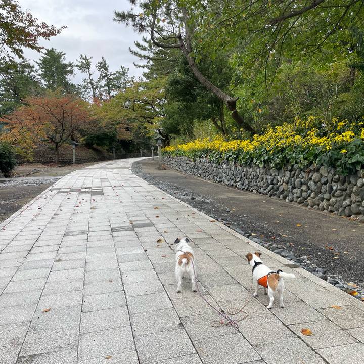 06471ca8 9738 43a1 bad4 10512443e375 1667345554335