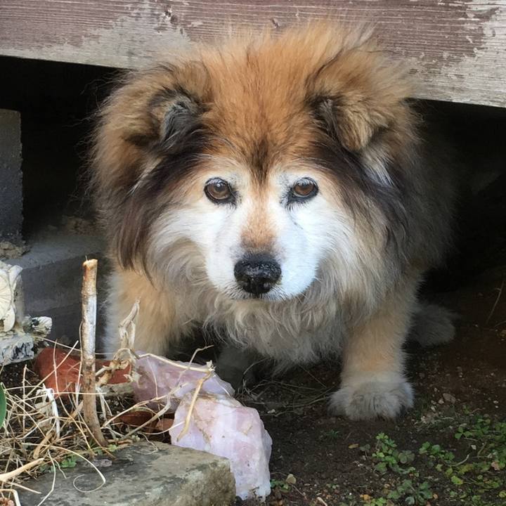 06472340 8ae3 4d5d bfcf e8b3662ee668 1583737211345