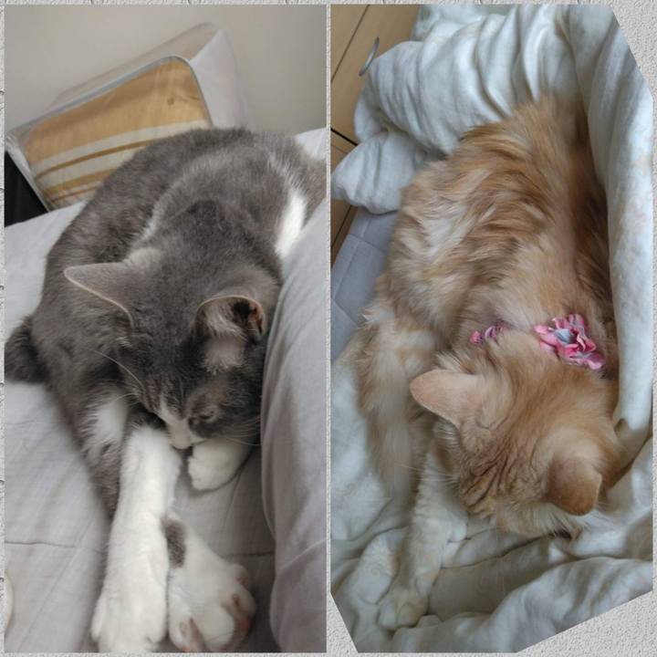 064748f5 dd18 4c17 9d93 8a5672c0e7e5 1663760128271