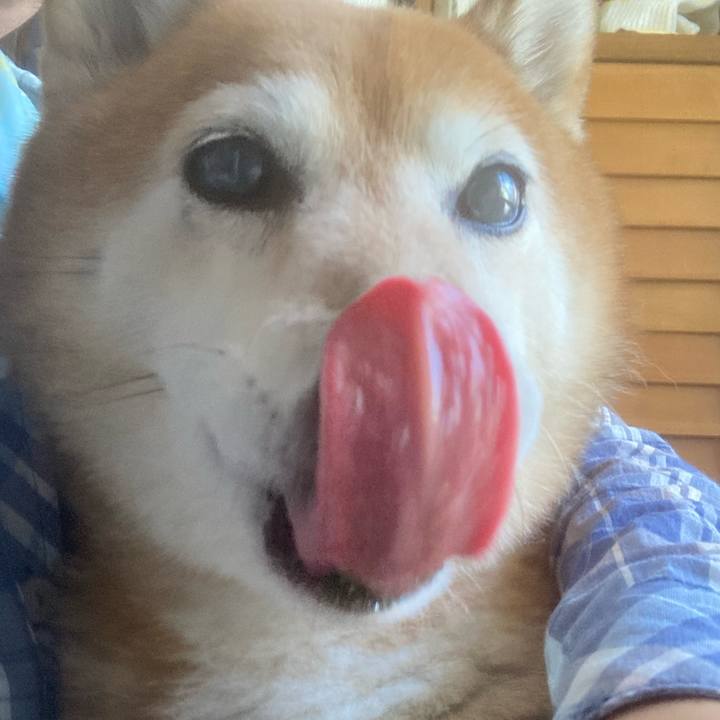 06474bf4 969e 48fb 9c40 a65131a11cb4 1691022955288