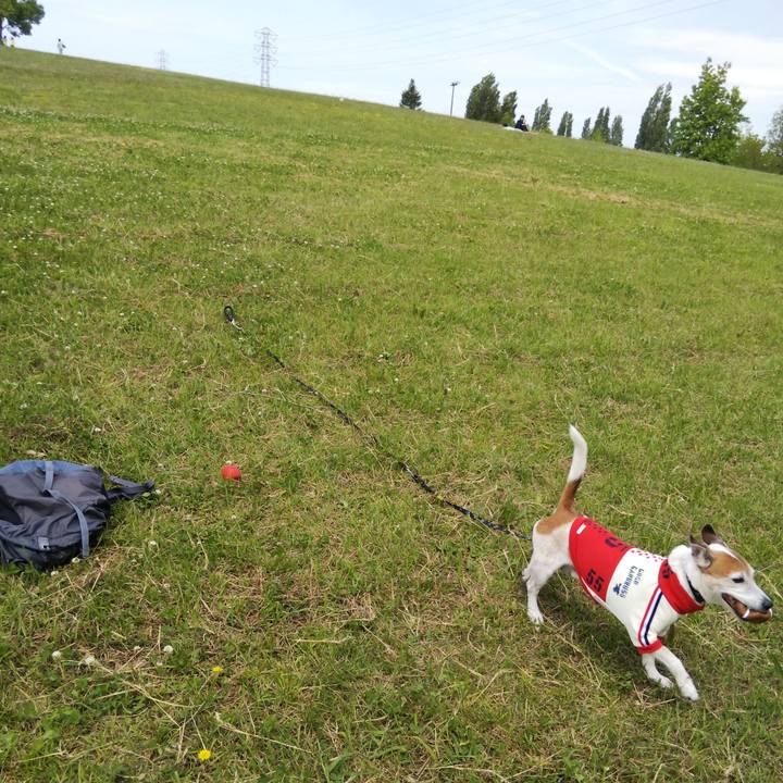 06475b11 502f 409d 9410 a1b707b7696c 1525587934141