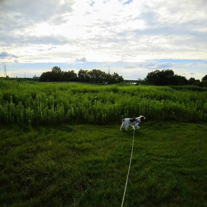 06478059 d4bc 4417 bfd3 dd72483e476f 1564142497443